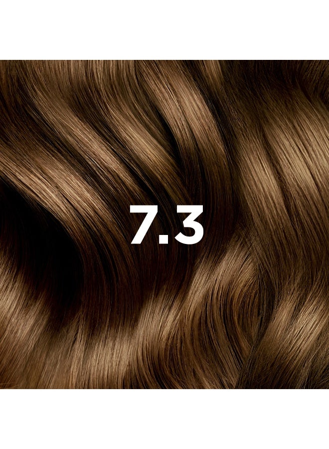 Phyto Paris Phyto Color Permanent Color - Hair Colour: 7.3 Golden Blond - Image 2
